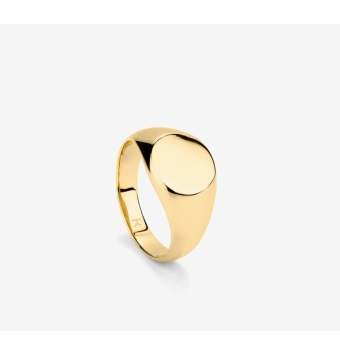 ANILLO RADIANT HOMBRE SELLO ACERO INOXIDABLE CHAPADO DORADO CIRCULO 12 MILÍMETROS