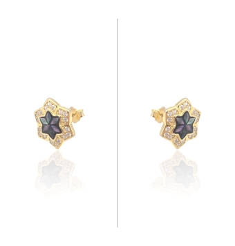 PENDIENTES MUJER PLATA DE LEY 925 CHAPADO DORADO ESTRELLA 6 PUNTAS CON CIRCONITAS BLANCAS ENGASTADAS Y NACAR COLOR 10.5 MILÍMETR